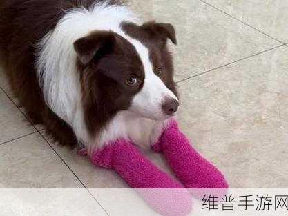 FLUFFINGADUCKKEVINMACLEOD：当然可以！以下是基于“FLUFFING A DUCK KEVIN MACLEOD”的主题扩展出的新标题，均不少于10个字：