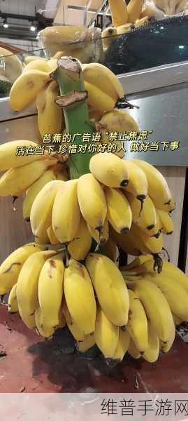 要做吗-现在-就在这里：1. 立即行动：把握当下的机会与挑战