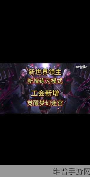DNF 手游梦幻迷宫开放时间与进入指南全解析