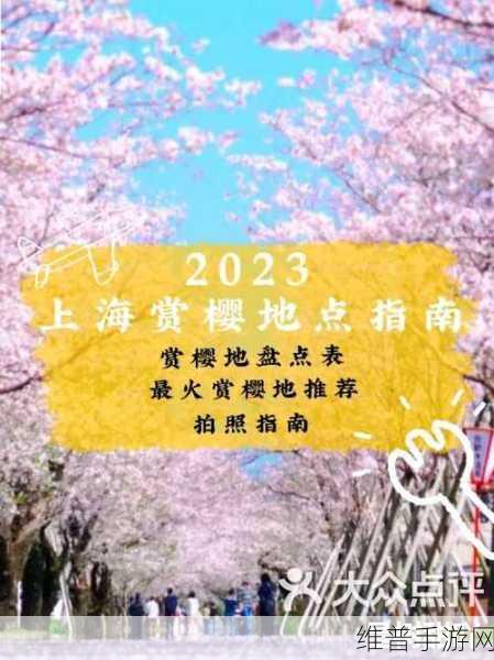 樱花官网官方入门网站2023：1. 探索樱花官网：全面了解入门指南与资源