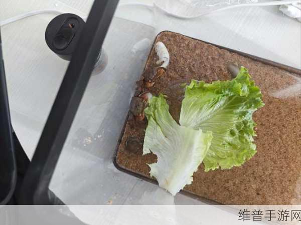 能不能在办公室干湿你现象引热议：1. 办公室干湿现象引发的健康讨论