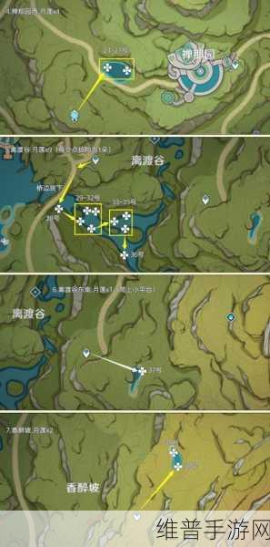 原神枫木采集指南，最佳路线推荐