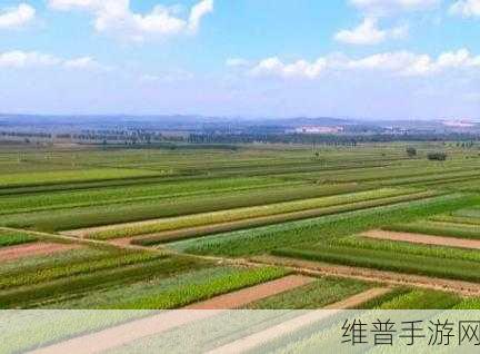 开垦妈妈肥沃的土地好吗：1. 开垦妈妈肥沃的土地，播种希望与梦想