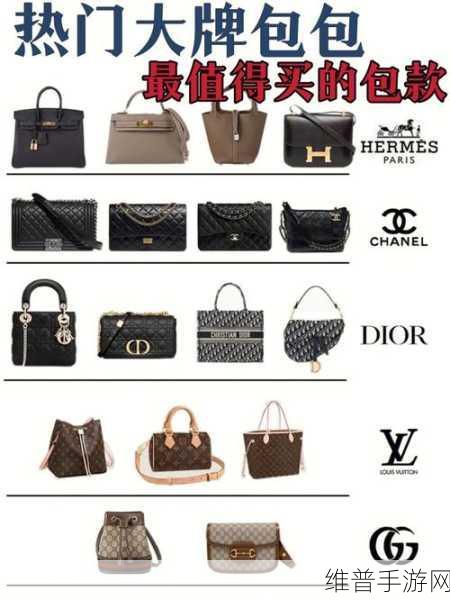 女生胸前的两个大包包有什么用:1. “解读女性胸前的魅力:包包背后的故事”