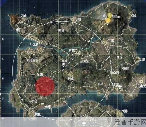 和平精英沙漠地图绿洲全攻略，探秘隐藏的宝藏之地