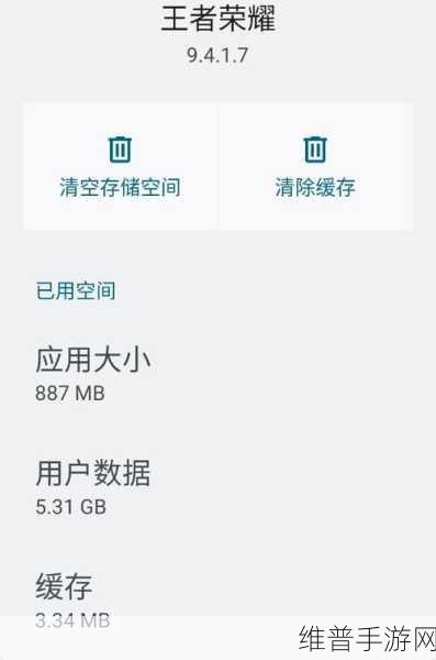 王者荣耀苹果手机内存管理攻略，轻松应对10个G存储挑战
