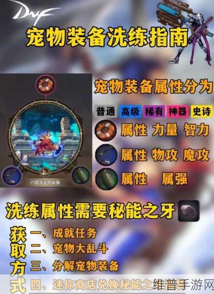 DNF 手游宠物装备使用全攻略