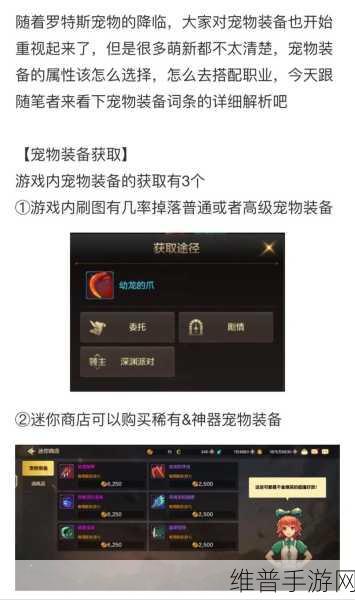 DNF 手游宠物装备使用全攻略