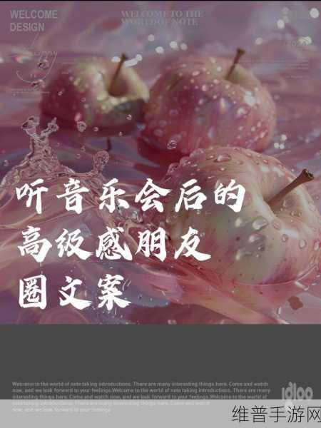 网易云音乐分享歌曲到朋友圈的终极秘籍