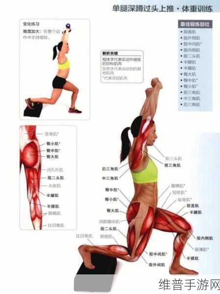 性功能锻炼最好的方法：1. 提升性功能的有效锻炼方法全攻略