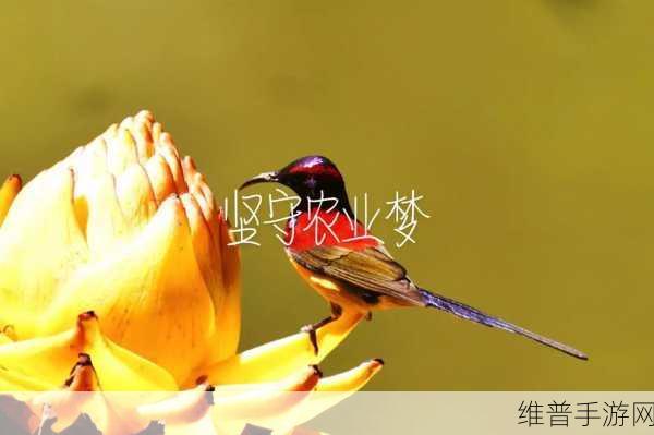 蜜丝婷大草莓与小草莓对比：1. 蜜丝婷大草莓与小草莓的奇妙对比分析