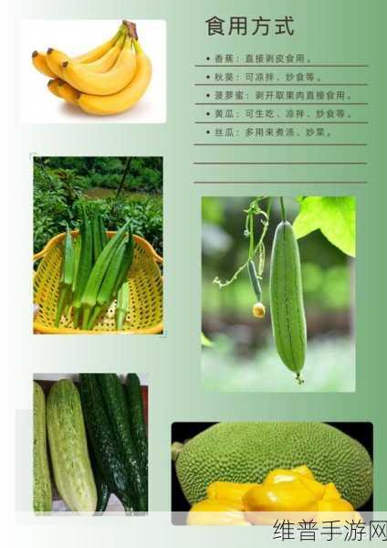草莓香蕉秋葵黄瓜榴莲：1. 《草莓与香蕉的甜蜜碰撞，秋葵与黄瓜的清新搭配