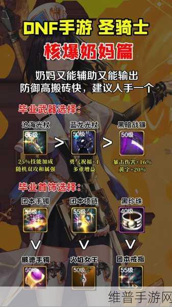 DNF手游男女圣骑士提升率深度对比分析