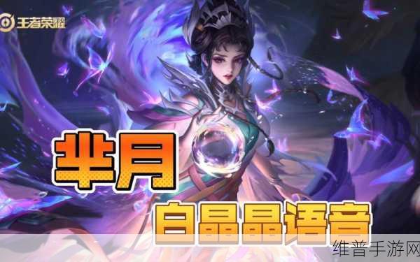 911制品厂白晶晶每到深夜人数特别多:1. 深夜人潮汹涌,白晶晶制品厂为何吸引众多顾客?