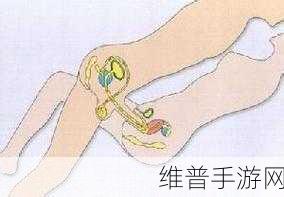 行房时勃不起怎么办:1. 如何解决行房时勃起困难的问题?