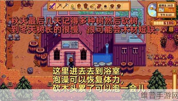 星露谷物语水壶升级全攻略，打造你的高效灌溉神器