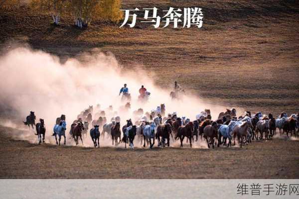 随着马的奔跑而律动皇上：1. 随马奔腾，领略草原的壮丽节奏