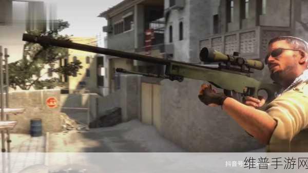 csgo大姐姐awp多少钱：1. ＂CSGO大姐姐AWP价格揭秘：你准备好了吗？