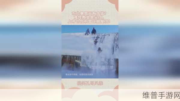 成色1.220.38：1. ＂探索成色1.220.38背后的秘密与价值