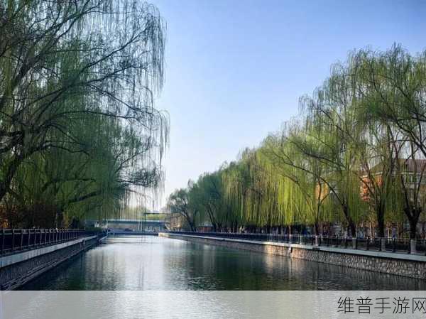 白玉河边双插柳枝发清河万万家:1. 白玉河畔柳枝摇曳,清流润万家幸福