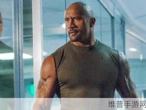 沃野布吉岛免费观看电视剧强森：沃野布吉岛：强森的冒险与友谊之旅