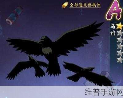 火影忍者手游，乌鸦满级等级及相关数据大揭秘