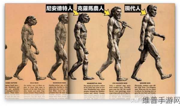 美国人与畜禽Croproation365：1. 美国人如何利用Croproation365提升农业效率