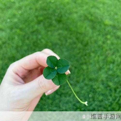 成品人和精品人的区别四叶草中如何体现：四叶草中的成品人和精品人的区别探讨