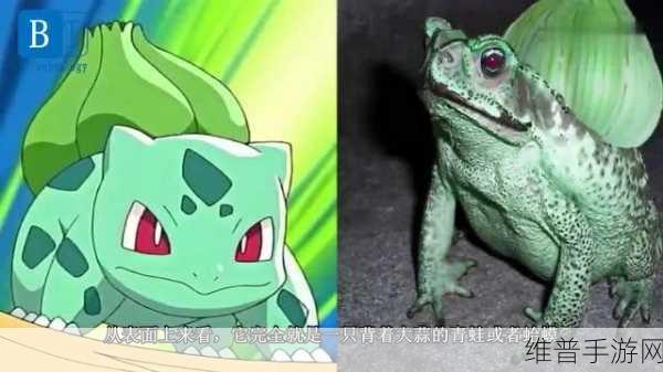 宝贝n怎么喷的到处都是：1. 宝贝N喷雾的神奇效果，让你惊艳全场！