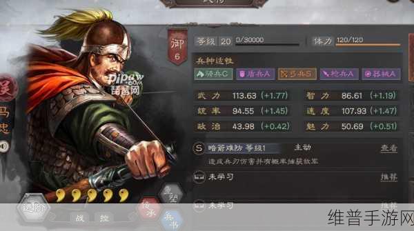 三国志战略版S1赛季马忠阵容搭配深度解析
