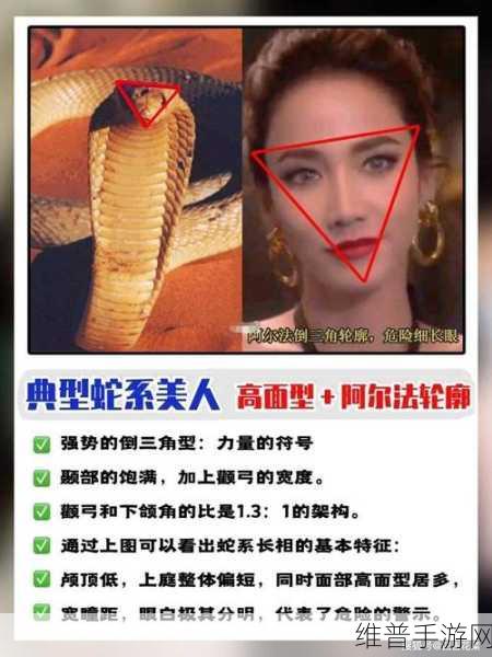 蛇倒刺蛇j子宫的出处和历史背景：1. 蛇倒刺与蛇子宫的历史起源探秘