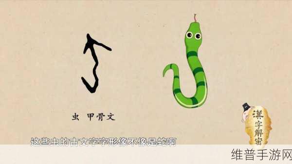 蛇倒刺蛇j子宫的出处和历史背景：1. 蛇倒刺与蛇子宫的历史起源探秘
