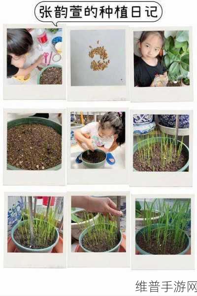 夫妻之间的108种插秧法：1. 深入探讨：夫妻间的108种插秧智慧