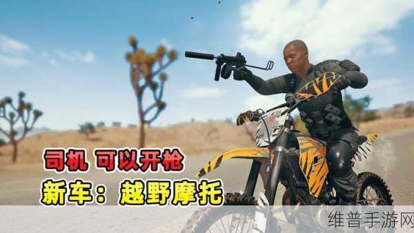 吃鸡RAP小姐姐：1. 吃鸡RAP小姐姐的战场风云