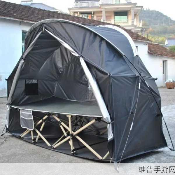 双人帐篷冬季野外露营帐：1. 冬季双人帐篷：温暖野外露营的最佳选择