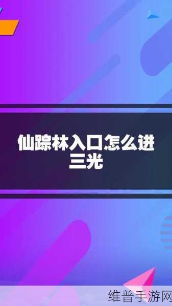 仙踪林网站免费入口怎么注册：1. 如何在仙踪林网站上免费注册账户并畅游