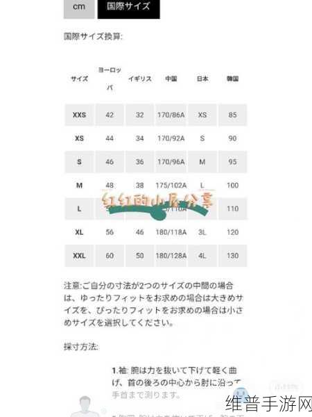欧洲尺码与日本尺码专线中老年：中老年服装尺码对照：欧洲与日本详解指南