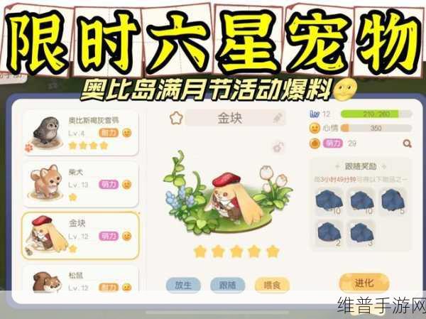 奥比岛手游，宠物变异秘籍大公开