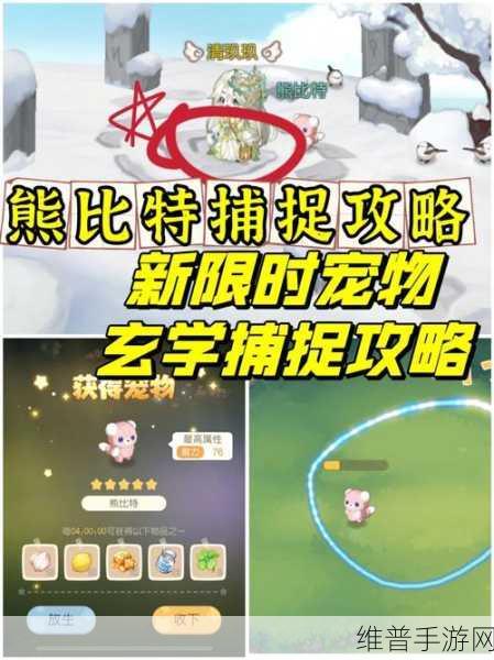 奥比岛手游,宠物变异秘籍大公开