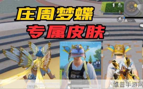 和平精英庄周梦蝶皮肤价格全解析，珍稀之选，值得入手