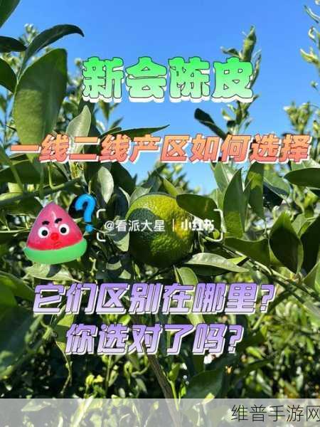 亚洲一线产区和二线产区区别:1. 亚洲一线与二线产区的市场潜力分析