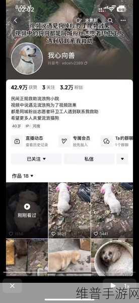 被自己家狗上瘾了怎么办：1. 如何帮助自己摆脱对狗的过度依赖？