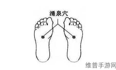 按哪个部位可以提高性功能：1. 提升性功能的关键：关注身体各部位的保健
