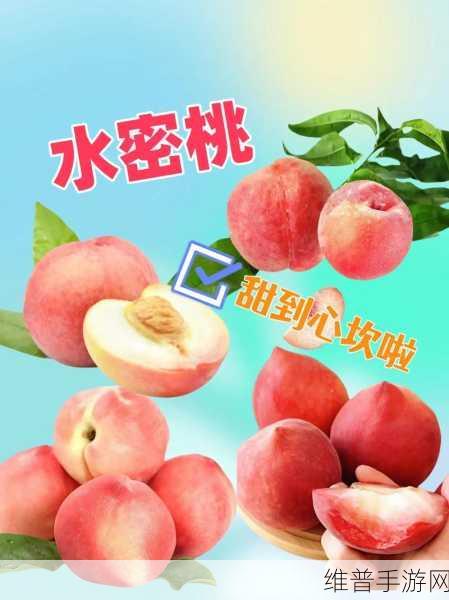 8㐅7㐅7ⅹ7x水蜜桃：1. 水蜜桃的神秘魅力与健康益处探索