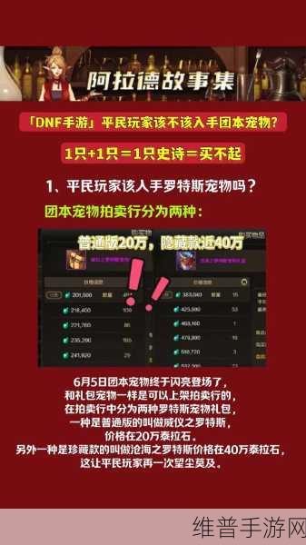 地下城与勇士手游，辅助宠物全解析，战力飞升指南