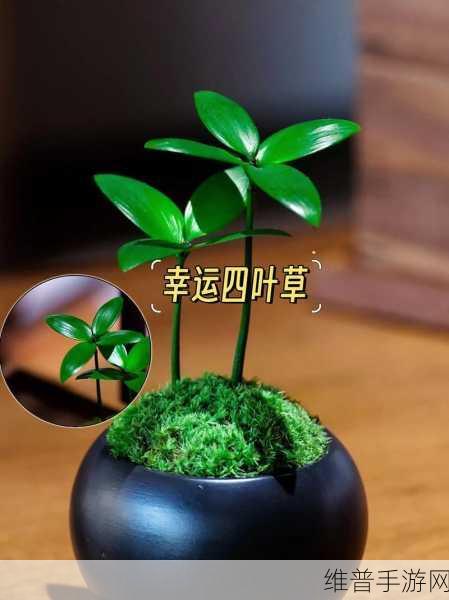 四叶草实验室2024隐藏入口：1. 探索四叶草实验室2024年隐藏入口的神秘之旅