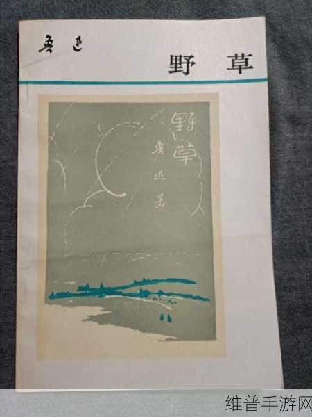 一级调色二级调色三级调色054宣布加入野草资源：“054宣布加入野草资源拓展，开启调色新篇章”