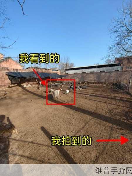 一级调色二级调色三级调色054宣布加入野草资源:“054宣布加入野草资源拓展,开启调色新篇章”