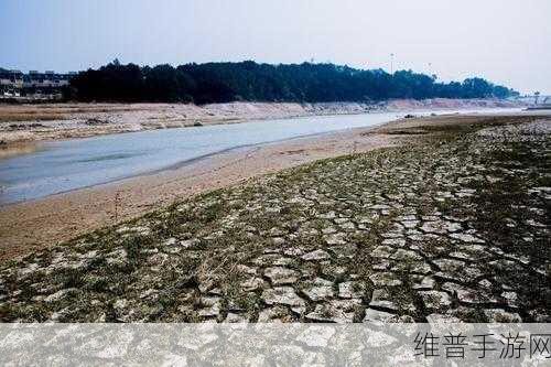 大地资源在线观看视频：1. 大地资源：探索自然的无限潜力与应用