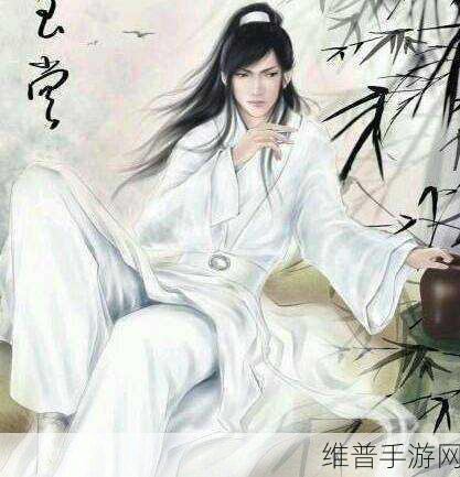 巴掌狠揍红肿臂瓣古风双男主：1. 《风云双侠：巴掌与红肿的宿命对决